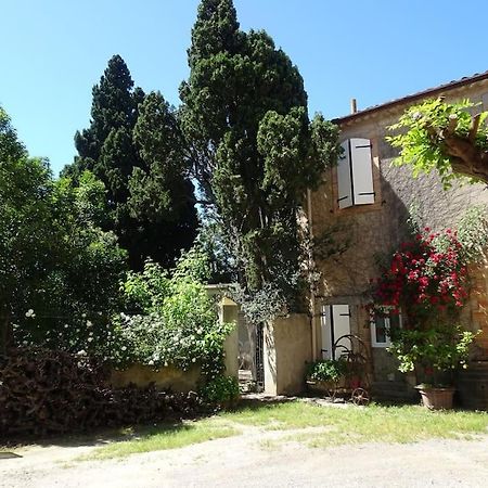 Sigean - Maison Domaine Viticole, 6 Km De La Mer Exteriér fotografie