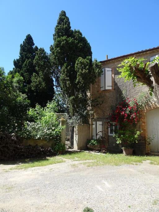 Sigean - Maison Domaine Viticole, 6 Km De La Mer Exteriér fotografie