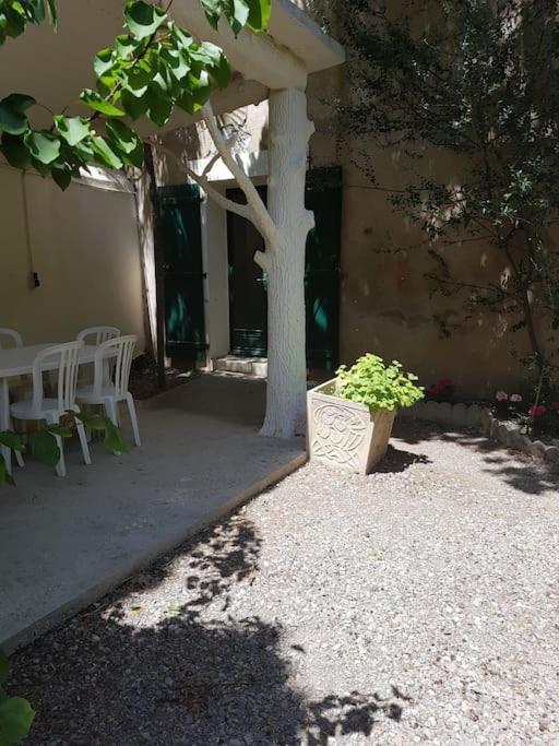 Sigean - Maison Domaine Viticole, 6 Km De La Mer Exteriér fotografie
